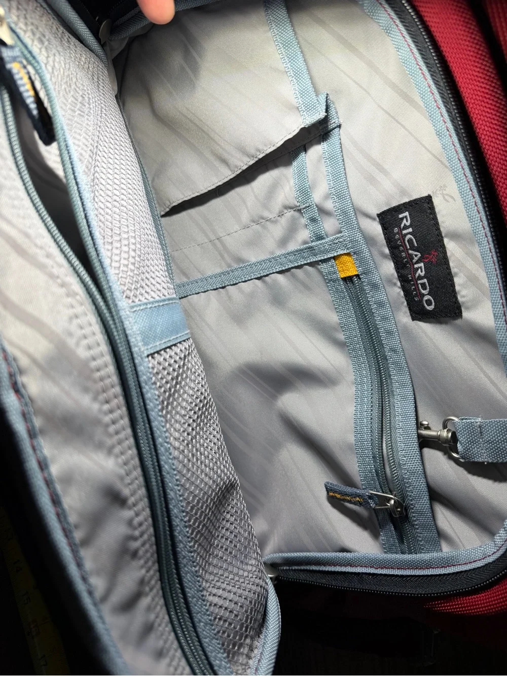 Ricardo organized look padded